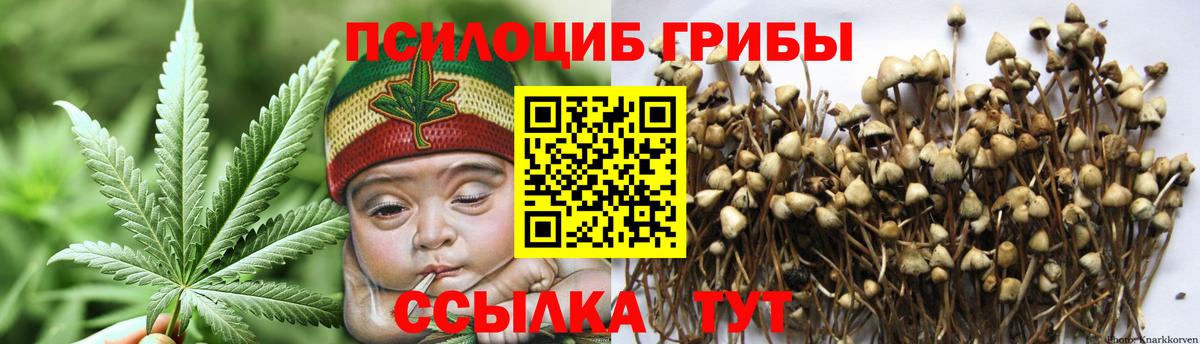Галлюциногенные грибы Psilocybine cubensis  Вход с VPN  Аргун 